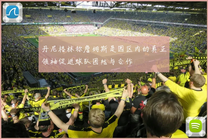 丹尼格林称詹姆斯是园区内的真正领袖促进球队团结与合作